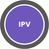 intimate partner violence button selected