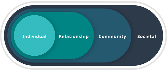 Social Ecological Model: Societal, Community, Relationship, Individual.