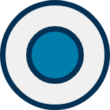 whole circle icon