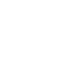 Puzzle piece