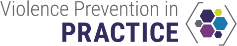 Violence Prevention in Practice logo