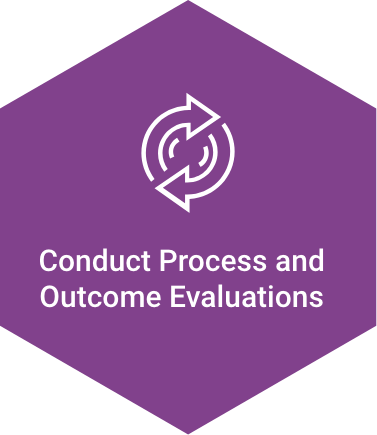 Hexagon icon titled 'Conduct Process and Outcome Evaluations'