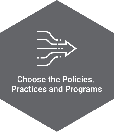 Hexagon icon titled 'Choose the Policies, Practices and Programs'