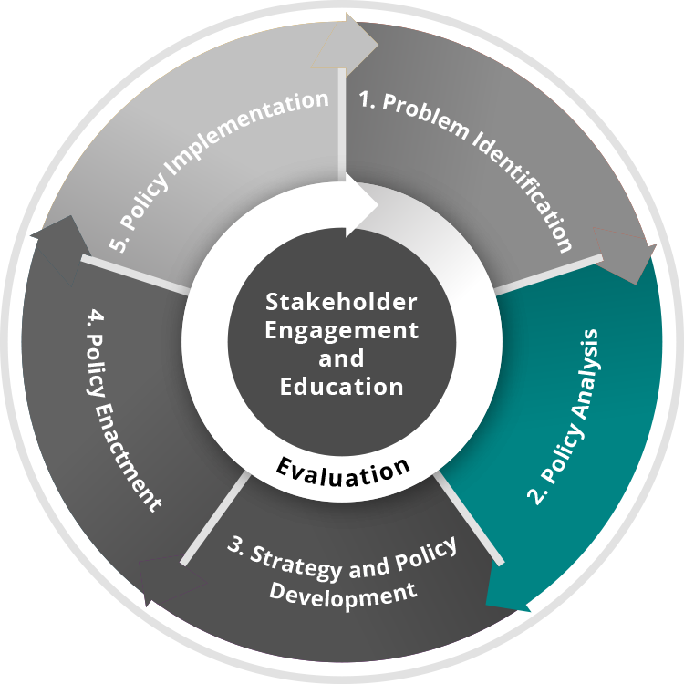 Stakeholder Engagement and Education Process image highlighting Policy Analysis