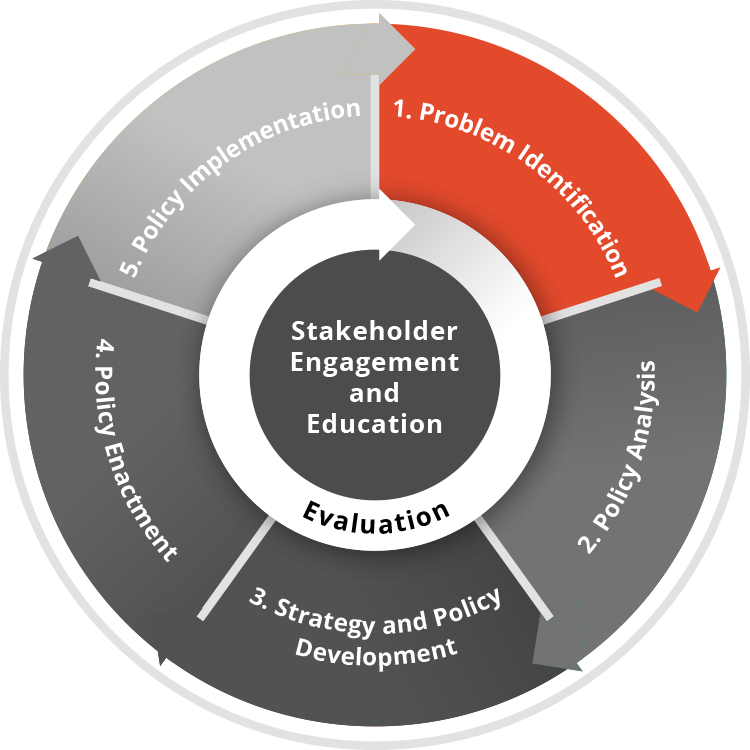 Stakeholder Engagement and Education Process image highlighting Problem Identification