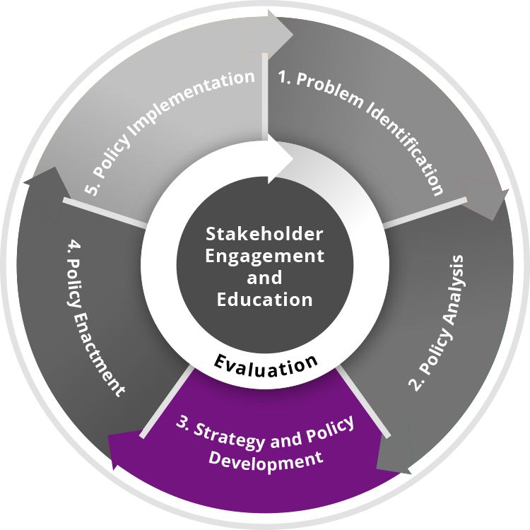 Stakeholder Engagement and Education Process image highlighting Strategy and Policy Development
