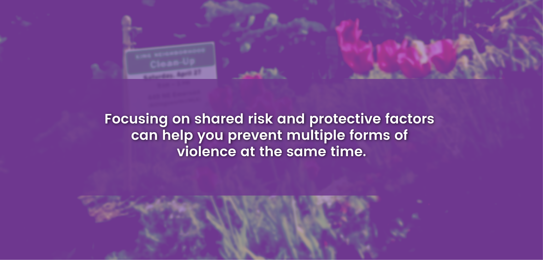 Focusing on shared risk and protective factors can help you prevent multiple forms of violence at the same time