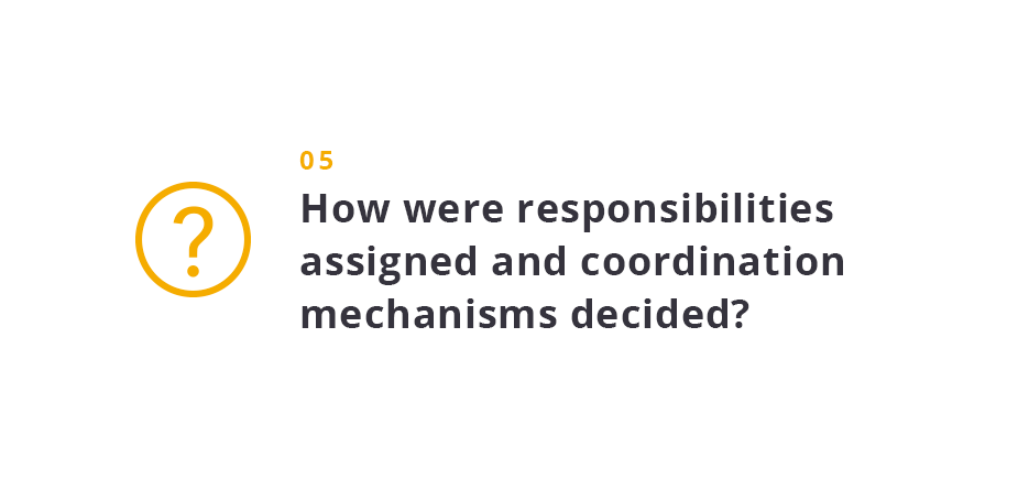 How were responsibilities assigned and coordination mechanisms decided? 
