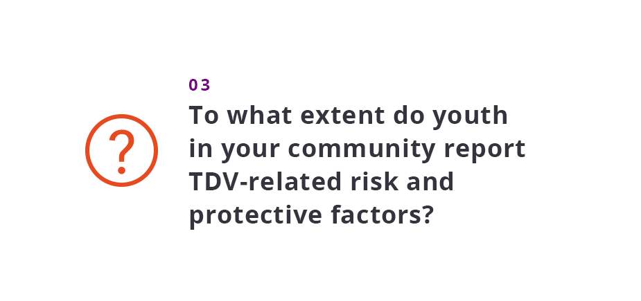To what extent do youth in your community report TDV-related risk and protective factors?