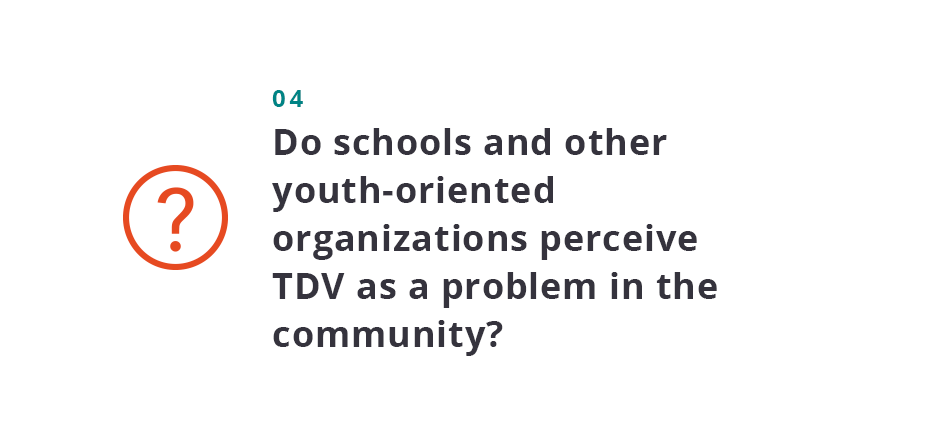 Do schools and other youth-oriented organizations perceive TDV as a problem in the community?