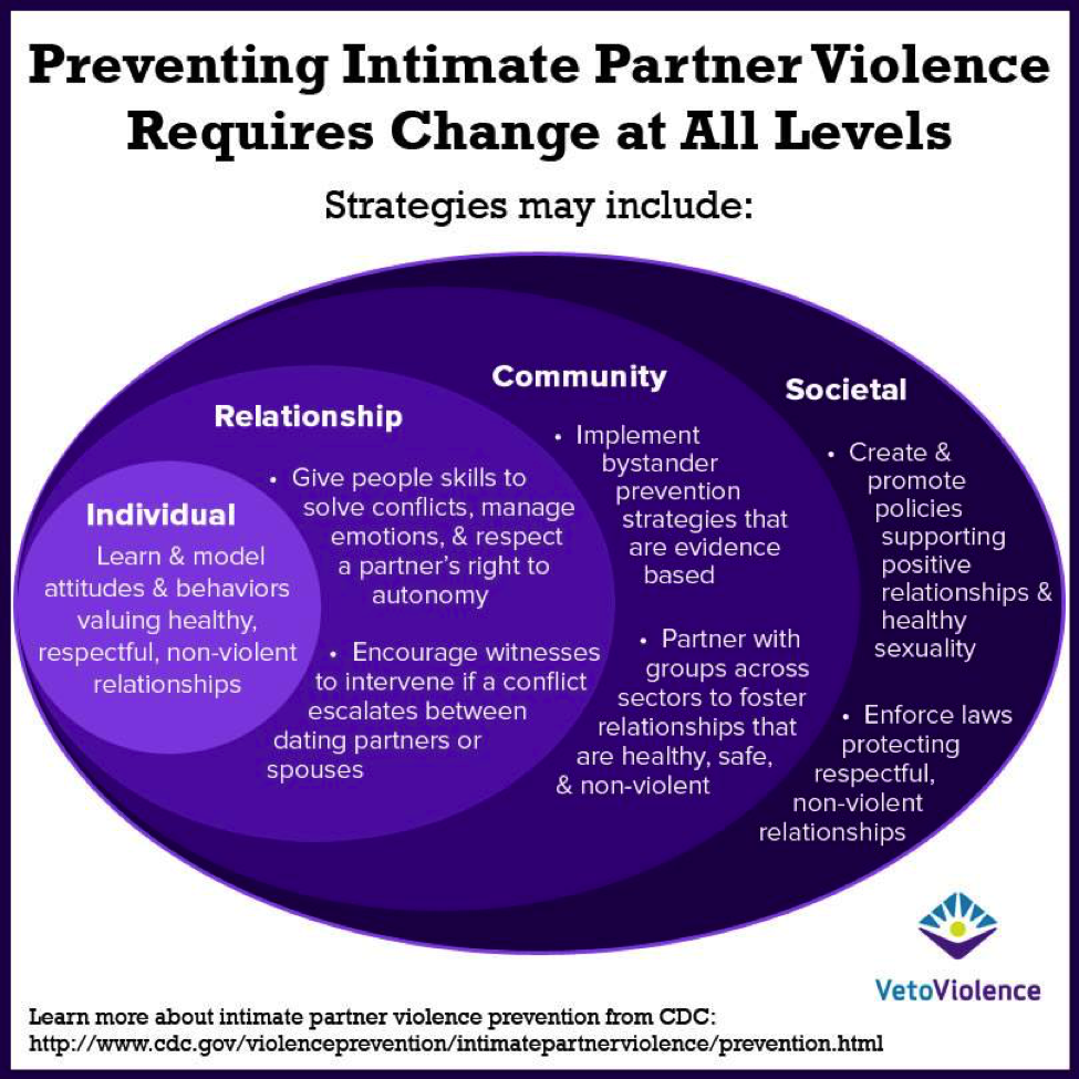 Violence Prevention Basics The Social Ecological Model Vetoviolence