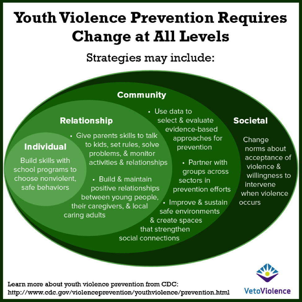 Violence Prevention Basics The Social Ecological Model Vetoviolence