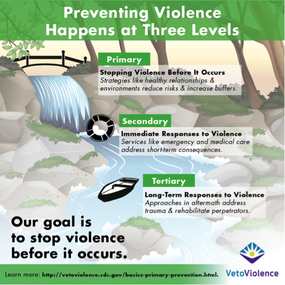 Preventing Violence One Level at a Time | VetoViolence